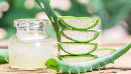 Aloe Vera Hızlı Büyümesi İçin Ne Yapmalı?