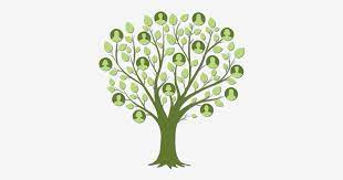 Ancestry Ne Demek? Ancestry Anlamı