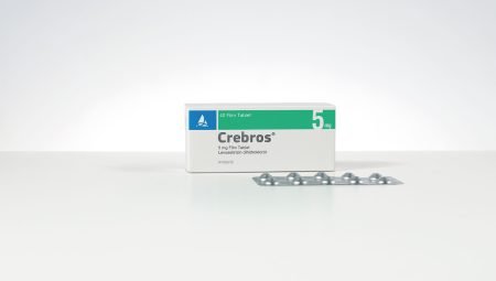 Crebros Nedir? Ne İşe Yarar ve Nasıl Kullanılır?
