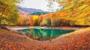 Doğa Koruma Alanları ve Milli Parklar: Yaban Hayatı Koruma ve Ekoturizm Olanakları