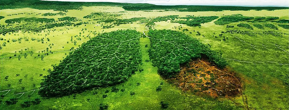 Etik Giyim Markaları: Sosyal ve Çevresel Sorumluluklar