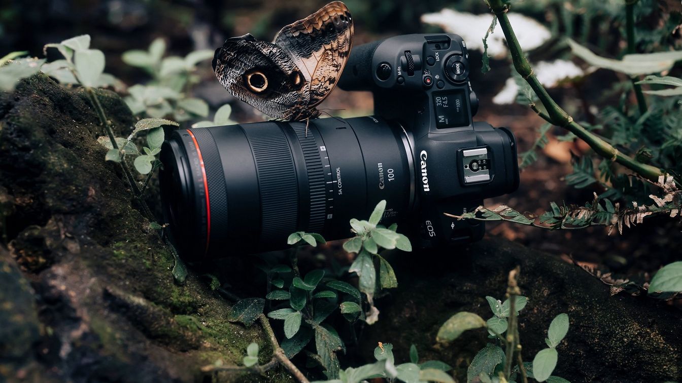 Makro Fotoğrafçılık: Küçük Dünyaların Büyülü Anları