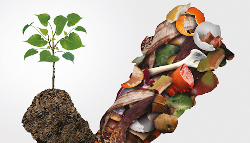 Organik Atıkları Değerlendirme ve Kompostlama Yöntemleri