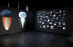 Sanatın Geleceği: Çağdaş Sanatta Yeni Trendler ve Yönelimler