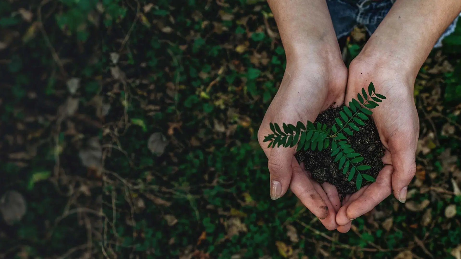Tüketici Bilincinin Artırılması: Sürdürülebilir Moda Seçimleri