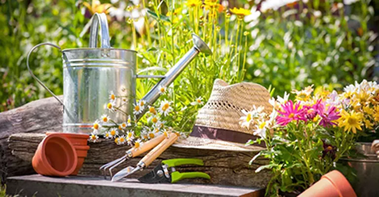 Bahçe Zevki ve Huzur: Hobi Bahçeciliğinin Ruhsal ve Zihinsel Faydaları