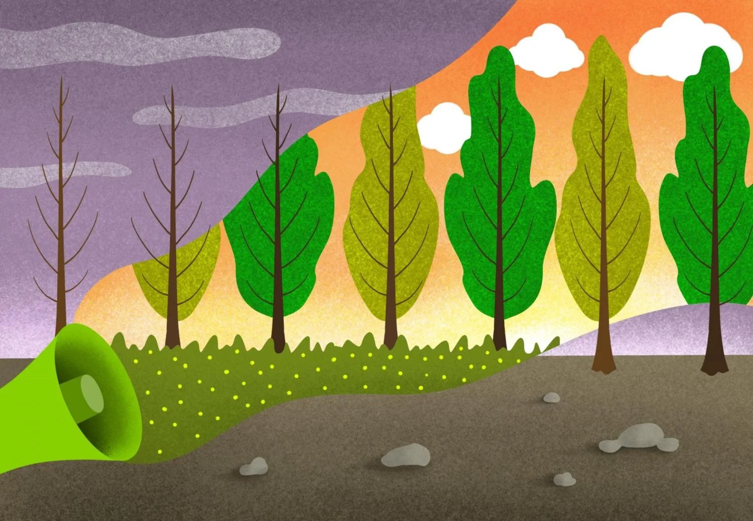 Çevresel Sorumluluk: Doğaya Duyarlı Projeler ve Sürdürülebilirlik