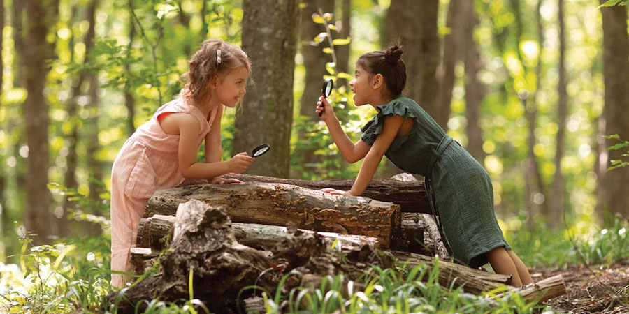 Doğa Yürüyüşleri ve Keşifler: Çocukların Doğayı Keşfetmesi ve Öğrenmesi