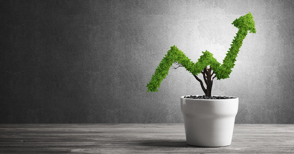 Ev Bahçeciliği Hikayeleri ve İlham Verici Deneyimler: Ev Bahçeciliği Hakkında Kişisel Hikayeler, Başarı Öyküleri ve Deneyim Paylaşımları