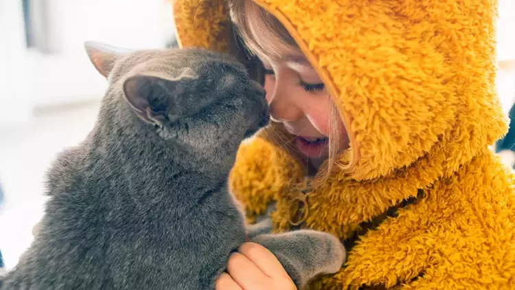 İletişim Geliştirme Yolları: Evcil Hayvanınızla Daha İyi İletişim Kurma Stratejileri