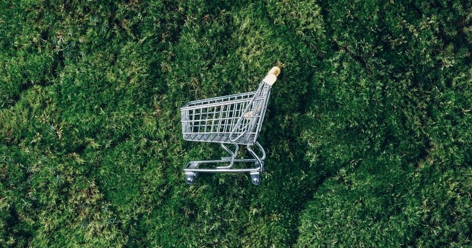 Gelecek İçin Sorumluluk