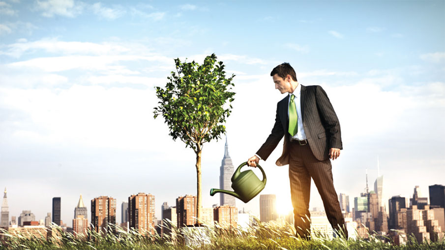 Girişimcilik Ekosistemi: İş Ortakları, Mentörler ve Destek Ağları