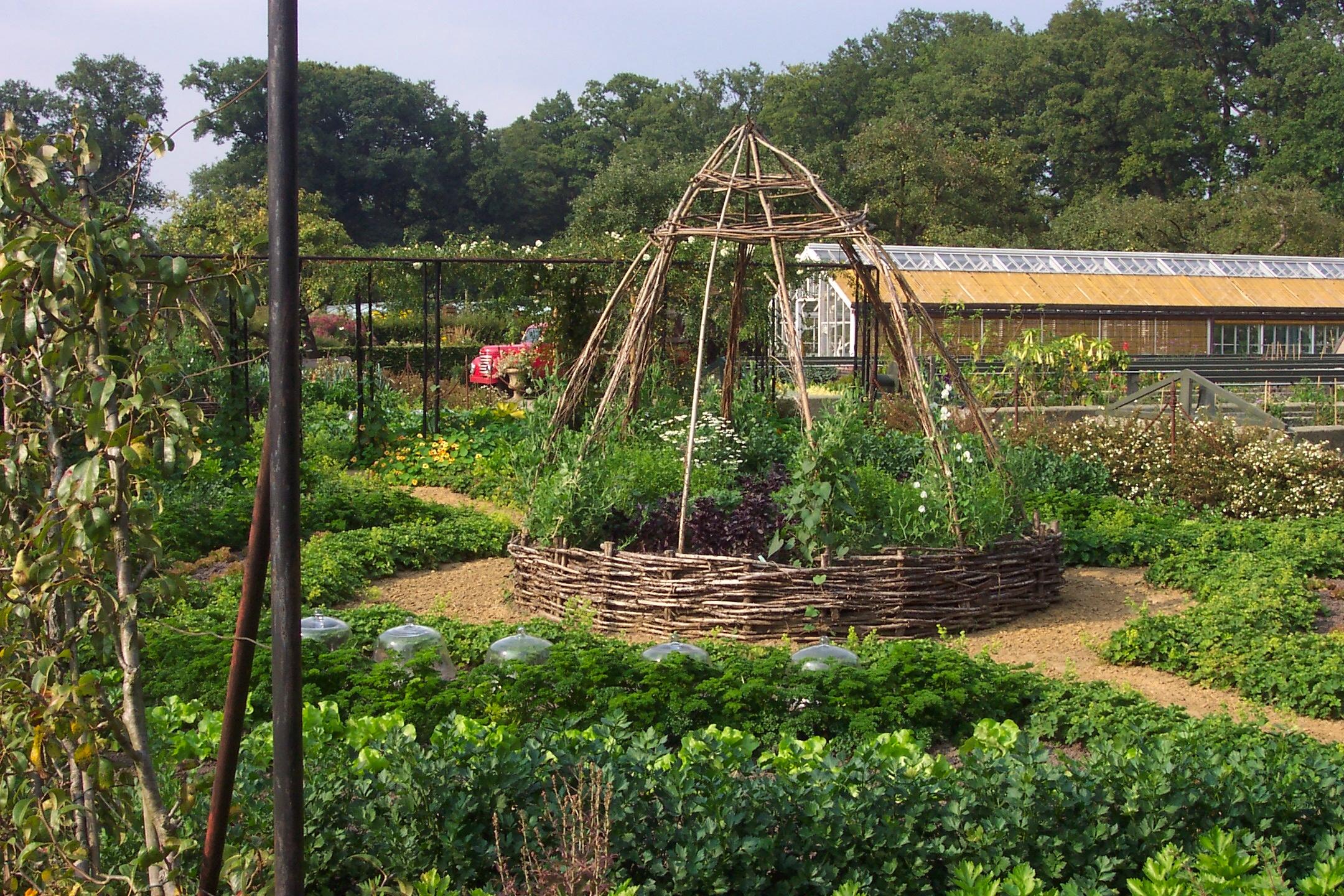 Hobi Bahçeciliğine Başlarken: Temel Ekipmanlar ve Hazırlıklar