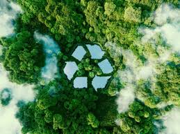 Sıfır Atık Hareketine Katılın: Çevreyi Koruma ve Yeniden Kullanım