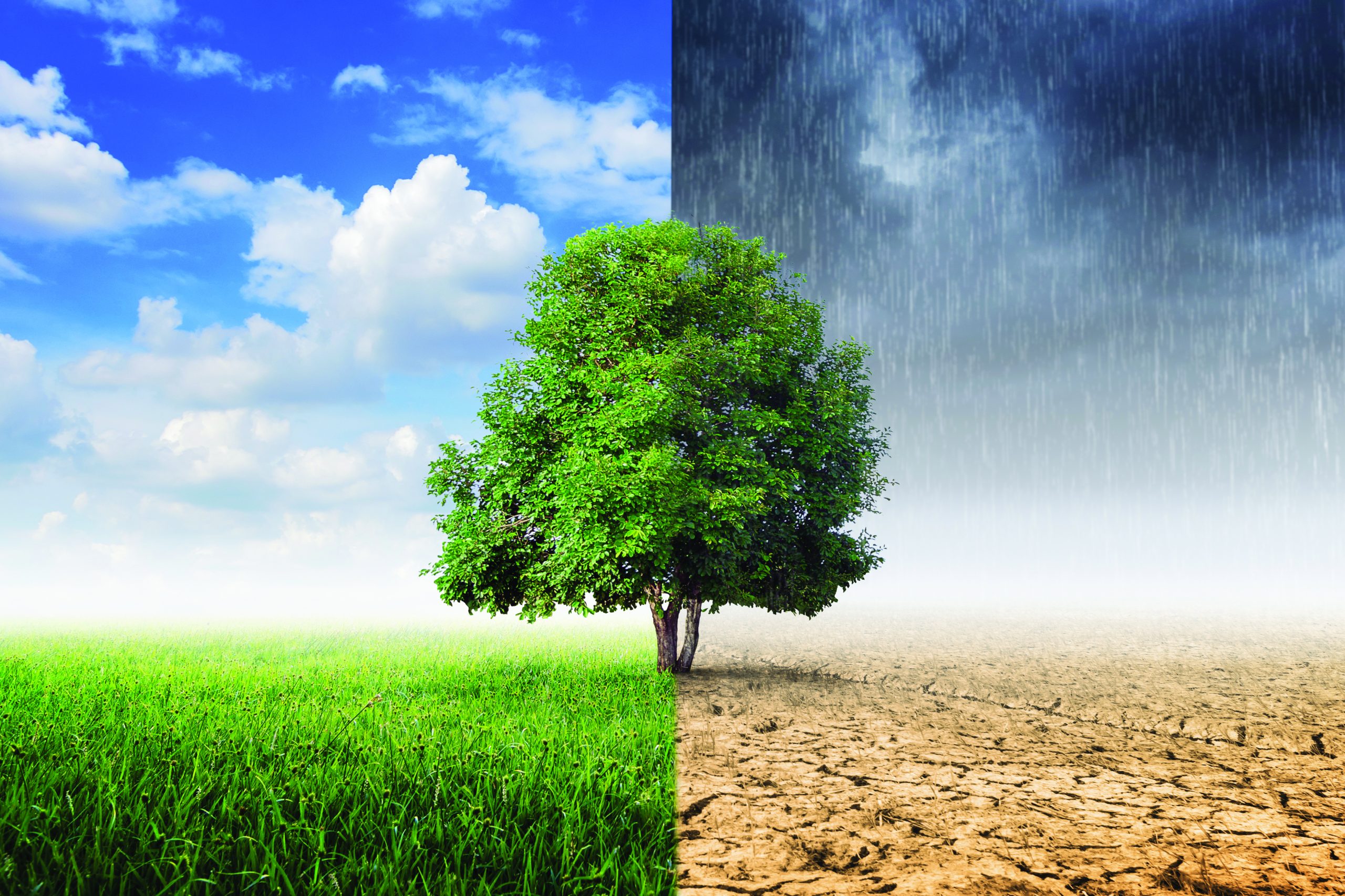 Sıfır Atık Yaşam: Daha Sürdürülebilir Bir Hayat İçin Adımlar