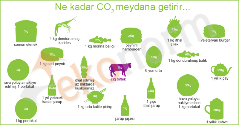 Sıfır Atık ve İklim Değişikliği: Karbon Ayak İzi Azaltımında Atıkların Rolü