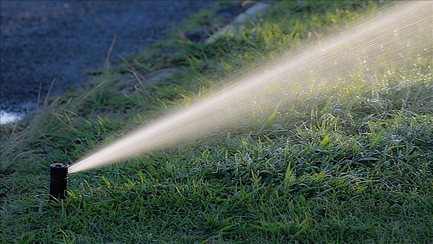 Su Tasarrufu ve Sürdürülebilir Sulama: Ev Bahçeciliğinde Suyun Doğru Kullanımı, Sulama Sistemleri ve Su Tasarrufu İpuçları