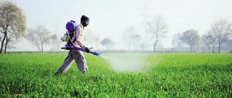 Zararlılarla Mücadele: Zararlıların Tanınması ve Doğal Mücadele Yöntemleri