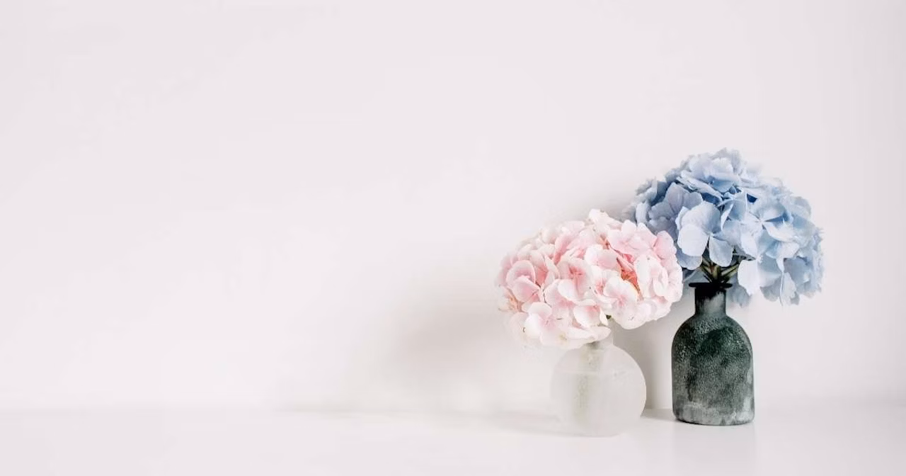 Minimalizm: Basitleşme Sanatı ve Hayatınıza Uygulayabileceğiniz İpuçları