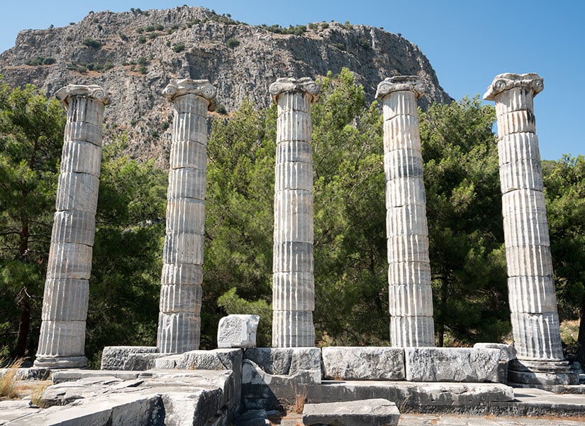 Medeniyetlerin Doğuşu ve Yıkılışı: Antik Kentlerin ve Uygarlıkların Hikayeleri