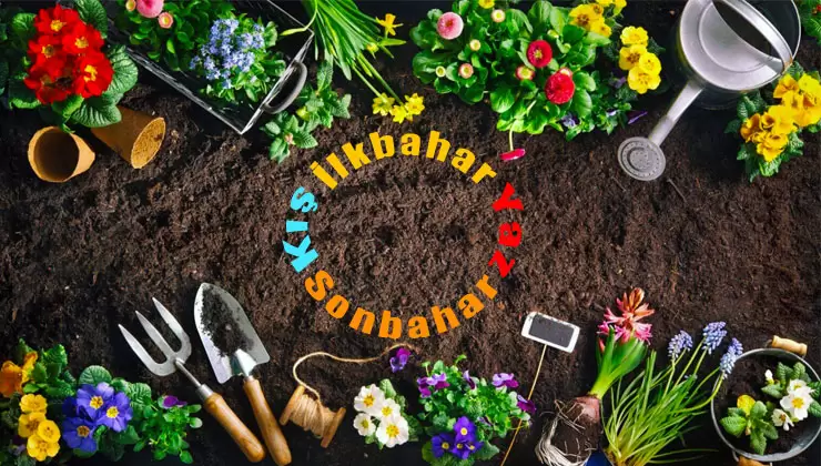 Mevsime Göre Bahçe Bakımı: Bahar, Yaz, Sonbahar ve Kış Dönemlerinde Yapılacaklar