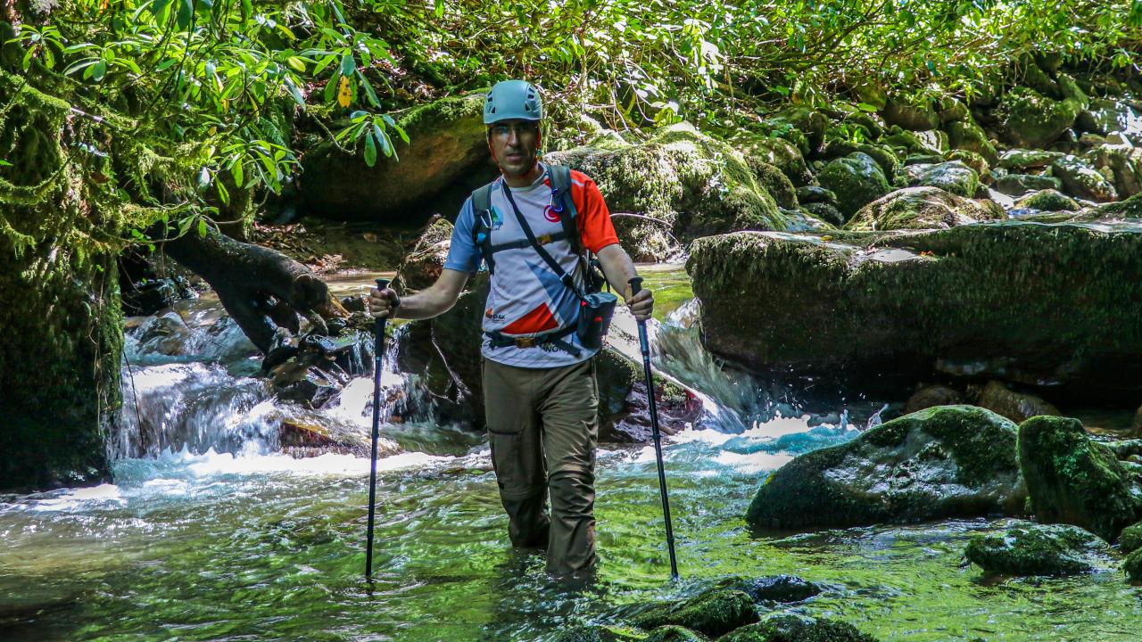Doğa Yürüyüşlerinin Yaratıcılığa Etkisi: Zihinsel Tazelik ve İlham