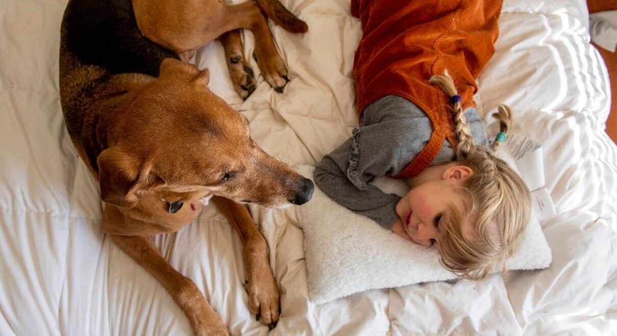 Hayvanlar ve İnsanlar Arasındaki Bağ: Evcil Hayvanların Zihinsel Dünyası