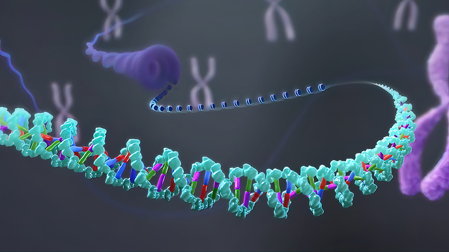 Gen Düzenleme Teknikleri