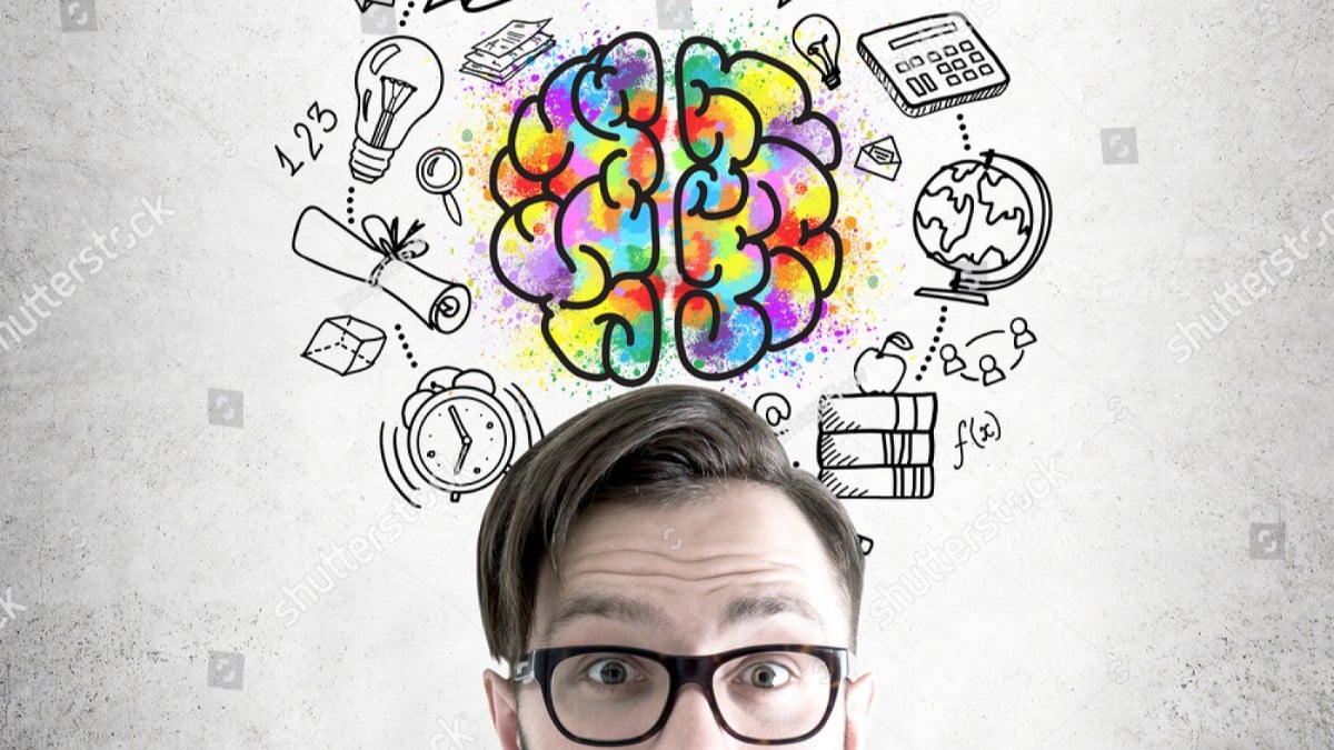 Hafıza ve Öğrenme: Hayvanların Deneyimlerinden Nasıl Öğrendiği