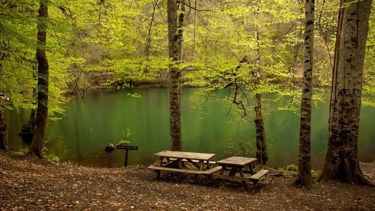 Doğal Yerlerin Keşfi: Milli Parklar, Doğal Rezervler ve Korunan Alanlar