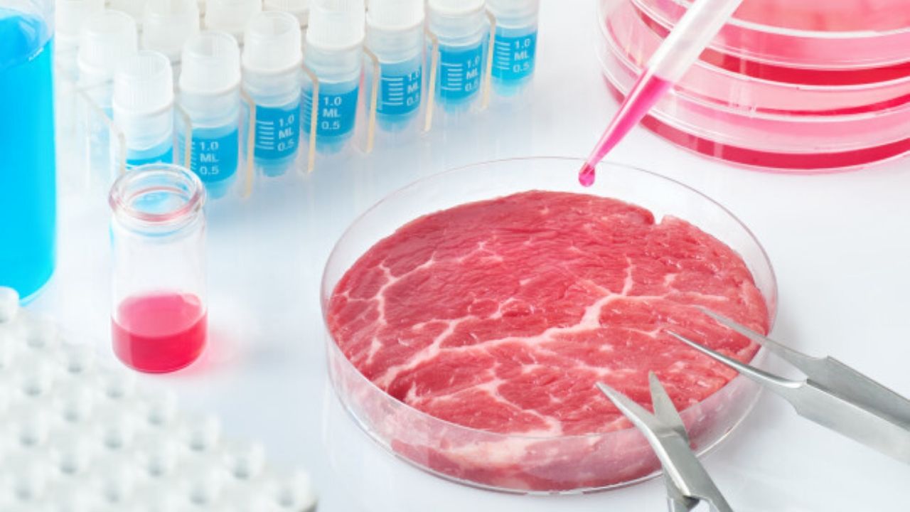 Yapay Gıdaların Sağlık Üzerindeki Etkileri