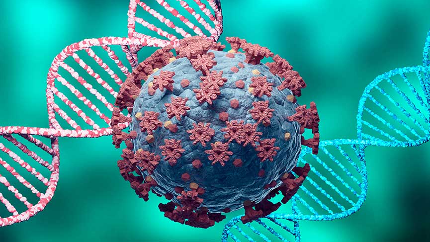 Genetik Yapı Nedir?