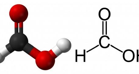 Formik Asidin Hayatımızda Nerededir? Tehlikelimidir?