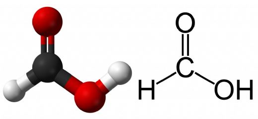 Formik Asidin Hayatımızda Nerededir? Tehlikelimidir?