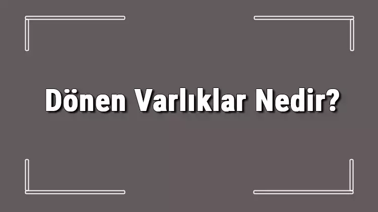 Dönen Varlıklar Nelerdir? Dönen Varlıkların Özellikleri Nelerdir?