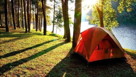 Aydos Ormanı Nerede? Aydos Ormanı’nda Kamp Yapılır Mı?