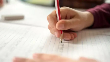 Ders Tekrarı Nasıl Yapılmalıdır?
