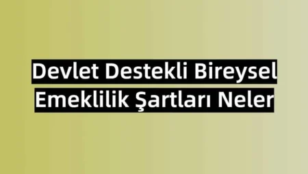 Devlet Destekli Bireysel Emeklilik Şartları Neler?