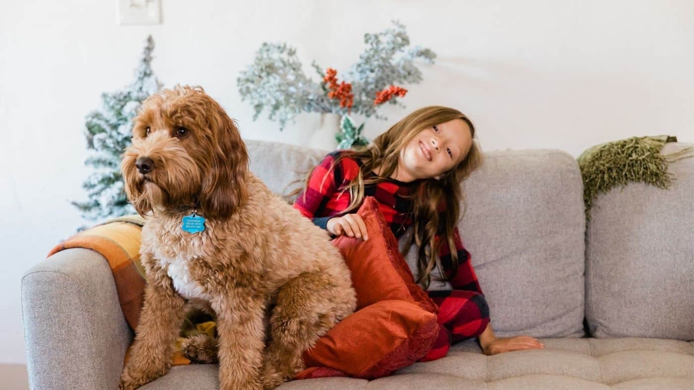 En İyi 10 Evde Beslenecek Hayvan