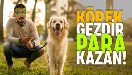 Köpek Gezdirerek Para Kazanma Rehberi