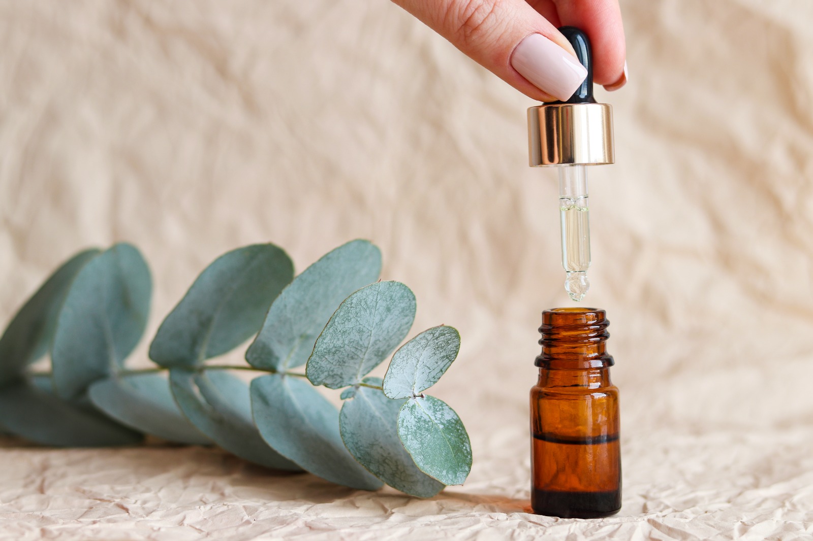 Beta Hidroksi Asitler Nelerdir?