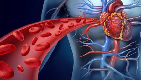 Damar Hastalıkları Nelerdir?