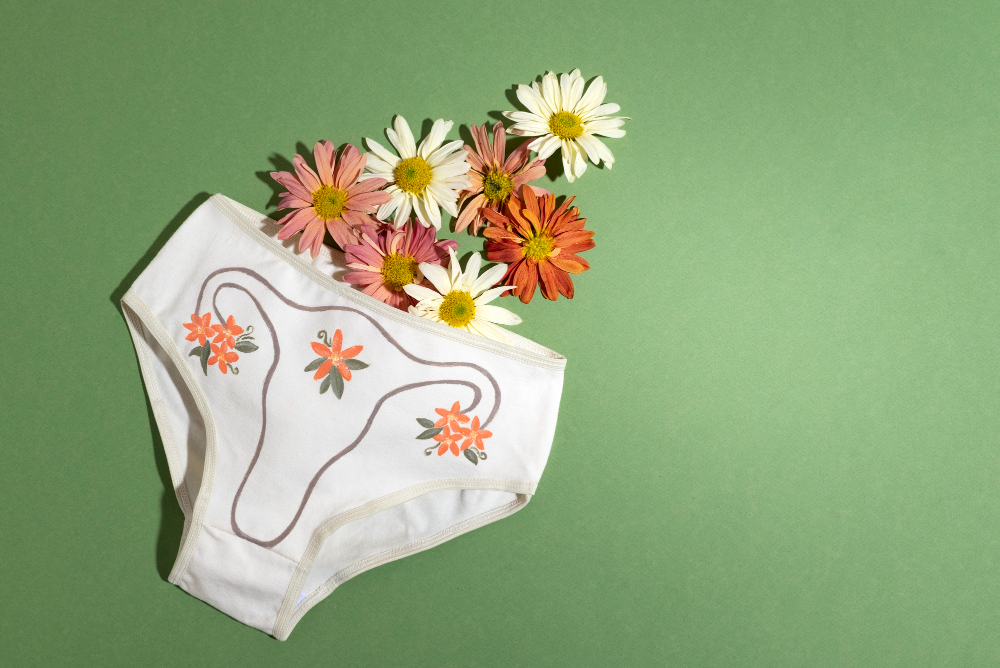 Genital Yağ Dolgu Nedir? Nasıl Yapılır?