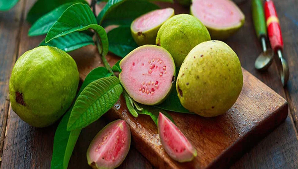 Guava Yapraklarının Saça İnanılmaz Faydaları