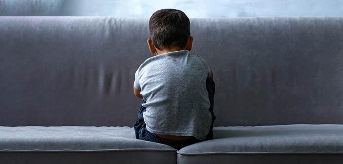 Hippoterapinin Otizmli Bireyler Üzerindeki Etkisi