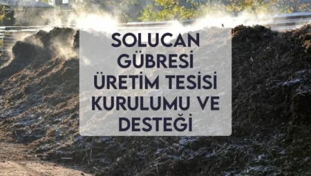 KOSGEB Solucan Gübresi Desteği Alma ve Üretim Tesisi Kurma