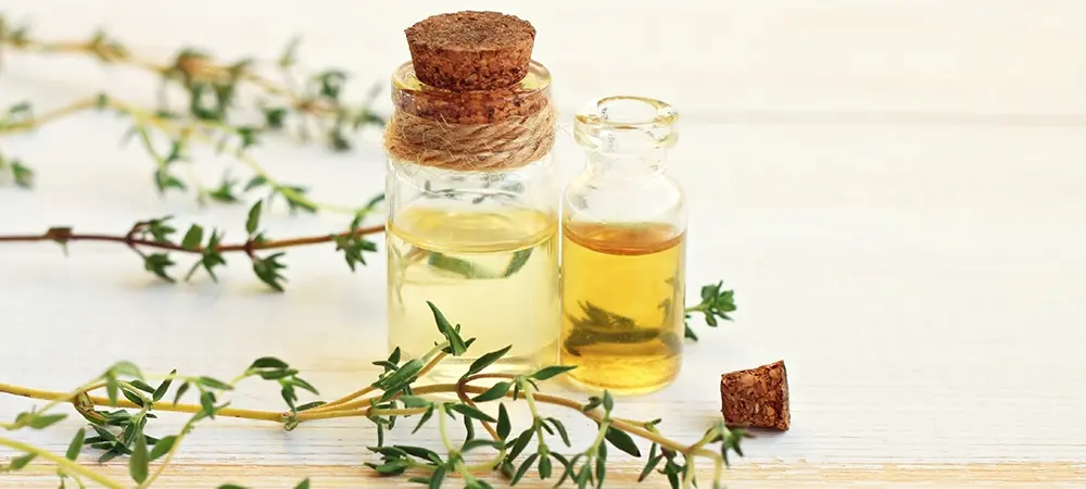 Kekik Yağı Nedir ve Nasıl Kullanılır? Kekik Yağı Kullanım Alanları Nelerdir?
