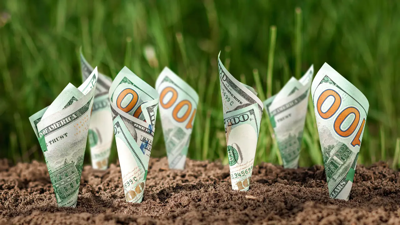 Öğrenciler İçin Pasif Gelir Yöntemleri