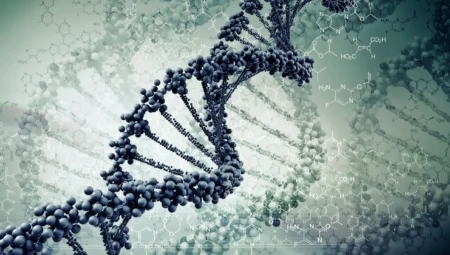 DNA Nedir? DNA’nın Yapısı ve İşlevi Nedir?
